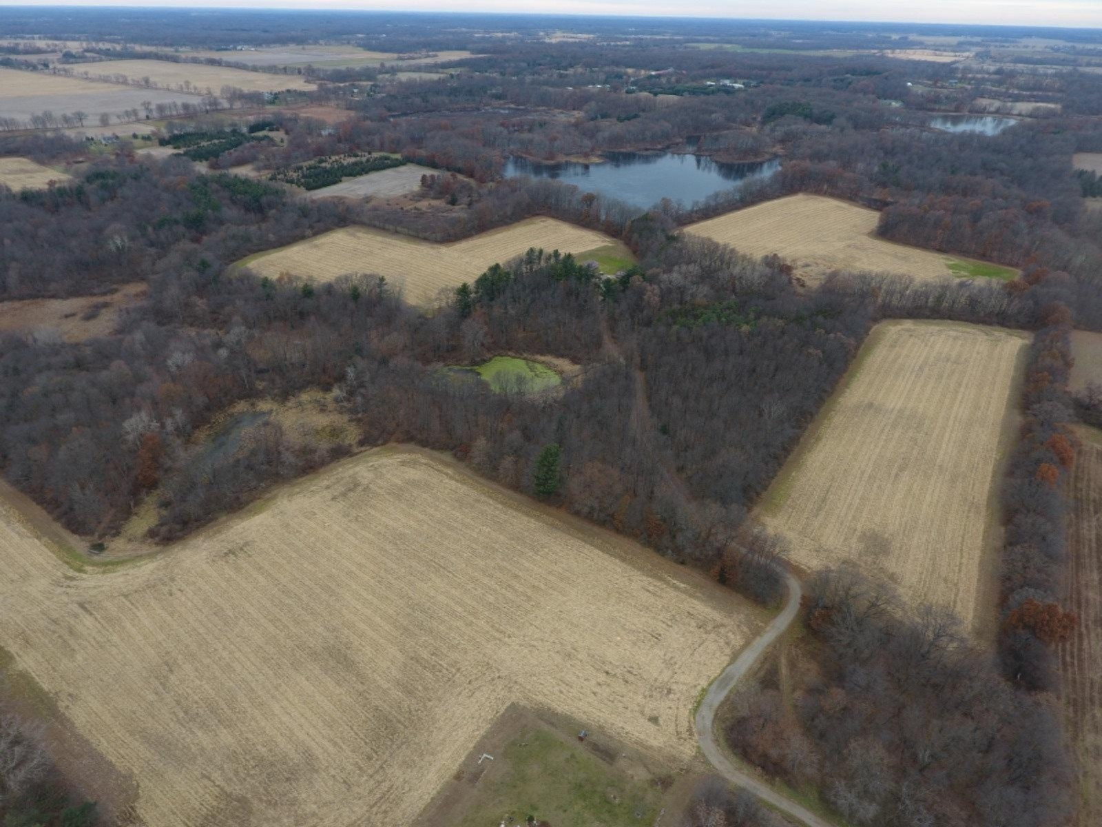 20767 Partello Road Marshall, MI 49068 - Photo 30 of 49 DJI_0013