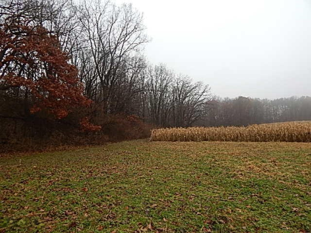 20767 Partello Road Marshall, MI 49068 - Photo 31 of 49 DSCN7754