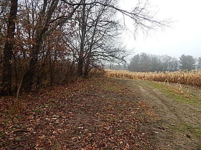 20767 Partello Road Marshall, MI 49068 - Photo 38 of 49 DSCN7759