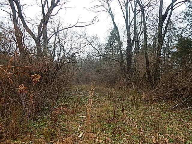 20767 Partello Road Marshall, MI 49068 - Photo 39 of 49 DSCN7760