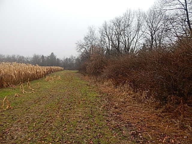 20767 Partello Road Marshall, MI 49068 - Photo 40 of 49 DSCN7761