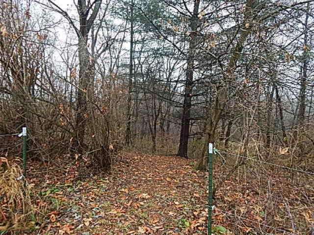 20767 Partello Road Marshall, MI 49068 - Photo 41 of 49 DSCN7762