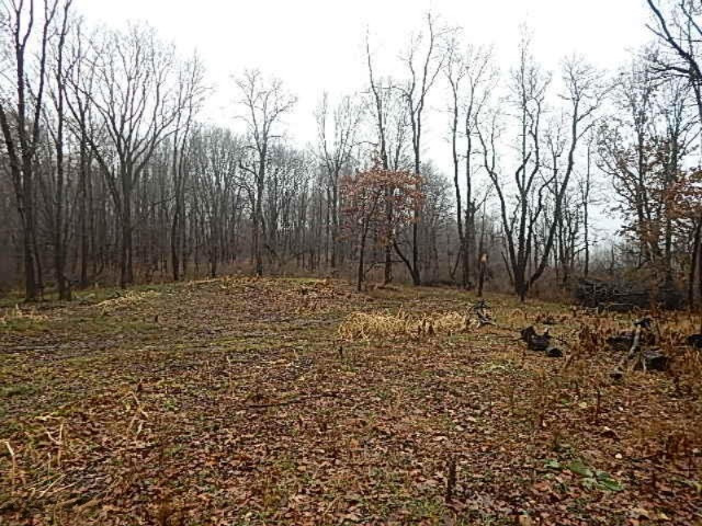 20767 Partello Road Marshall, MI 49068 - Photo 42 of 49 DSCN7764