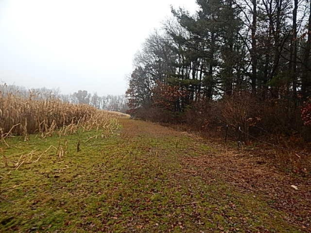 20767 Partello Road Marshall, MI 49068 - Photo 43 of 49 DSCN7765
