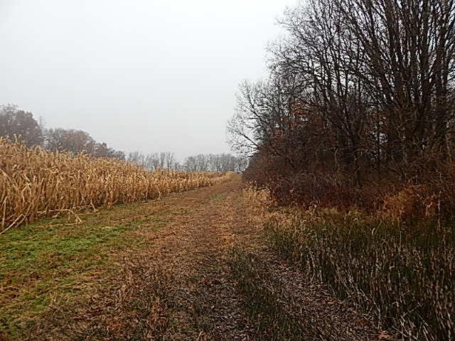 20767 Partello Road Marshall, MI 49068 - Photo 46 of 49 DSCN7769