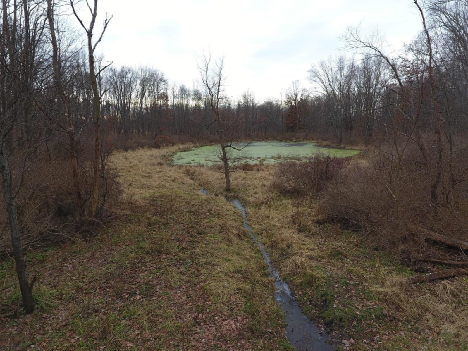 20767 Partello Road Marshall, MI 49068 - Photo 49 of 49 DJI_0018