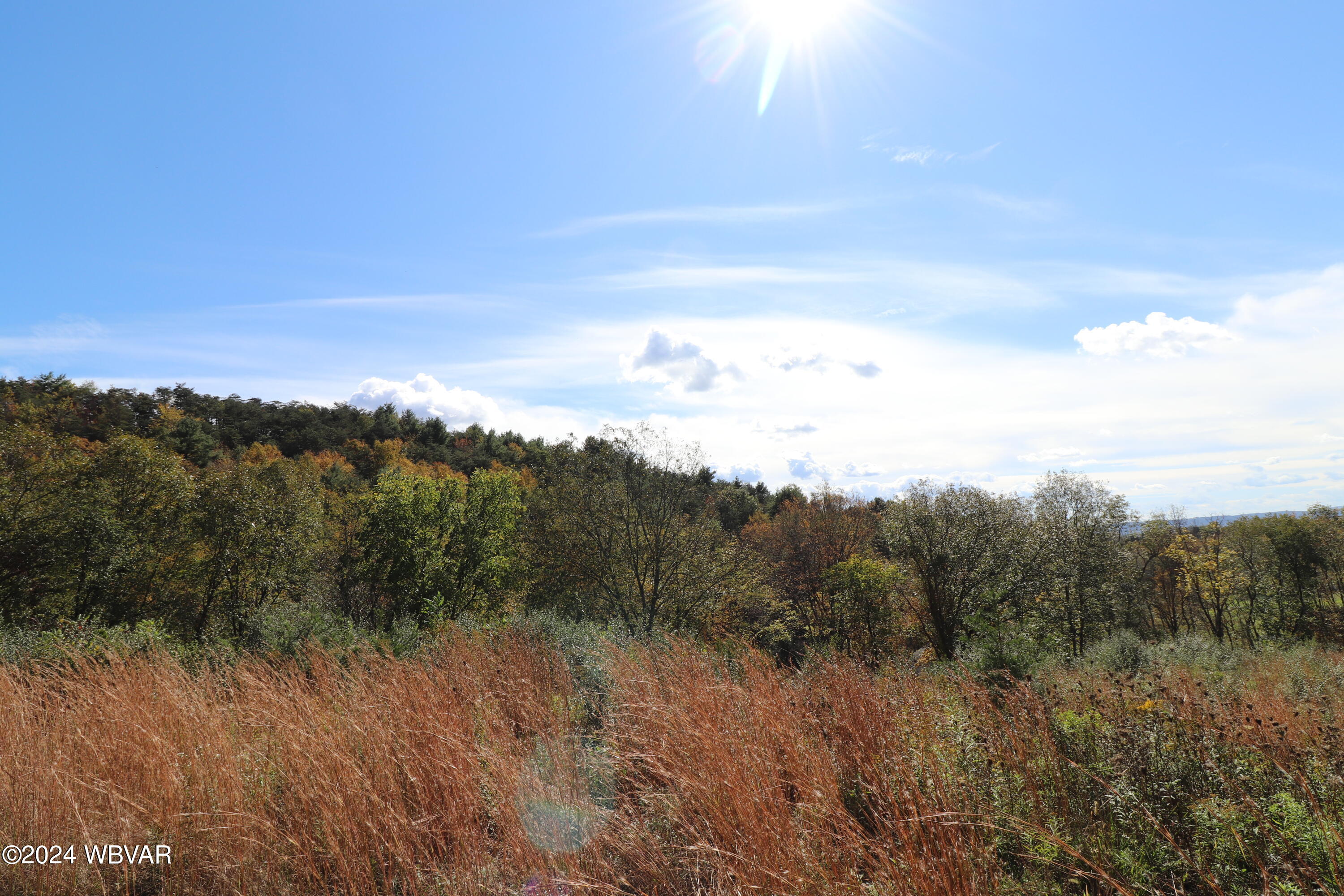 76 Wistar Road Hughesville, PA 17737 - Photo 5 of 7 IMG_2528