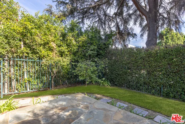 a view of a yard with plants and large trees