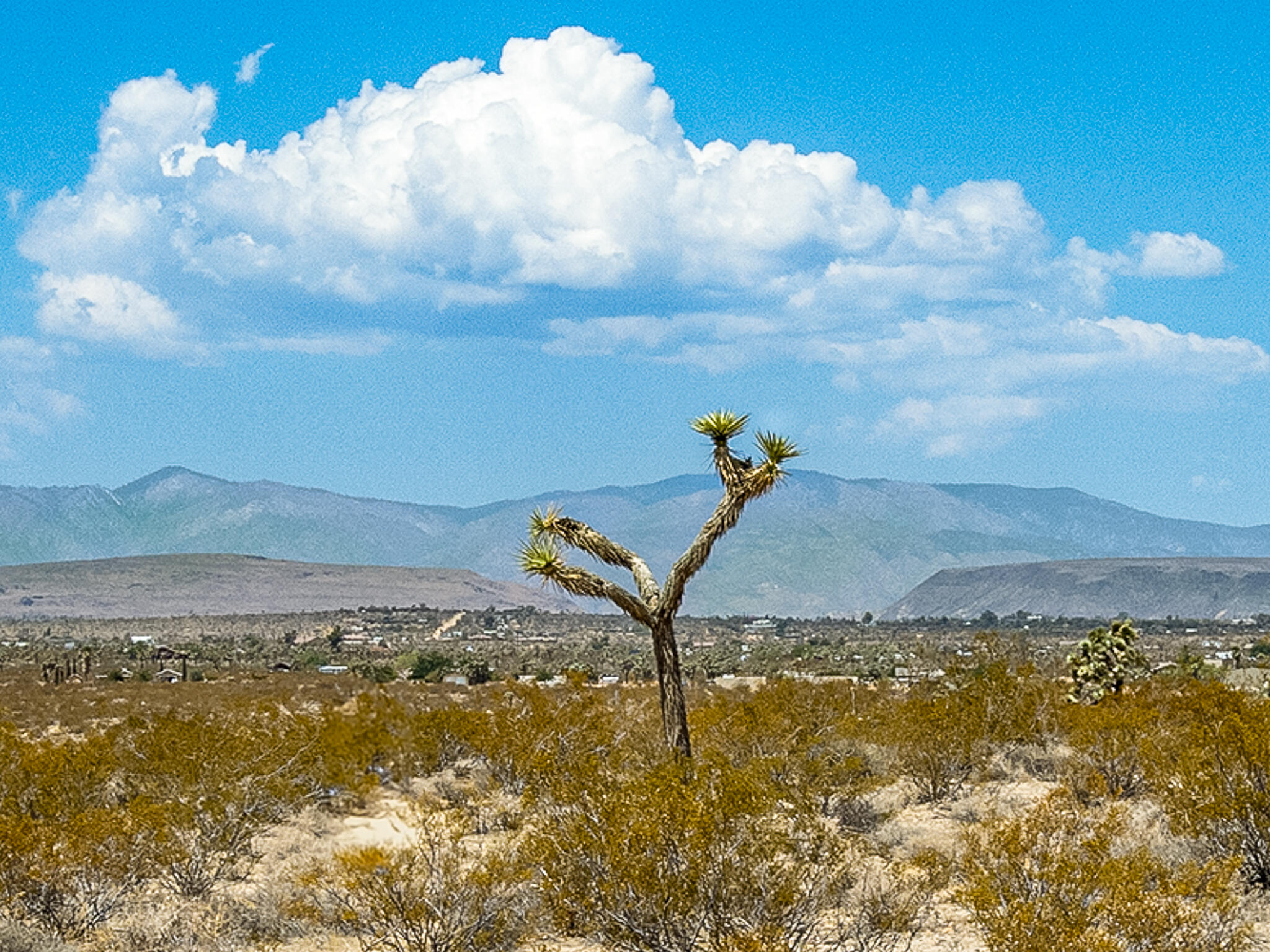 3623 Outpost Road Joshua Tree, CA 92252 - Photo 13 of 14 9-Outpost Final Friday