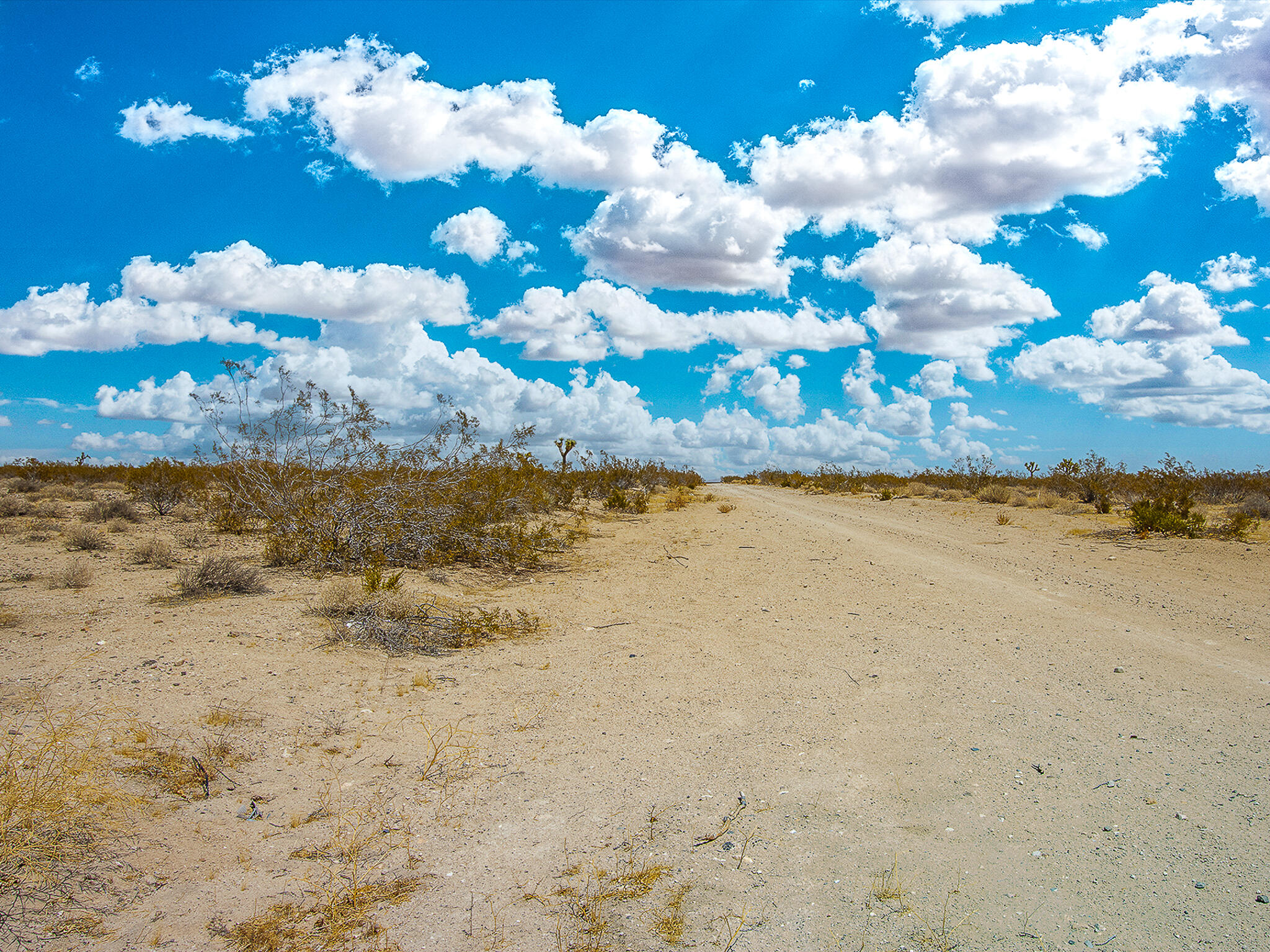 3623 Outpost Road Joshua Tree, CA 92252 - Photo 8 of 14 6-Outpost Friday