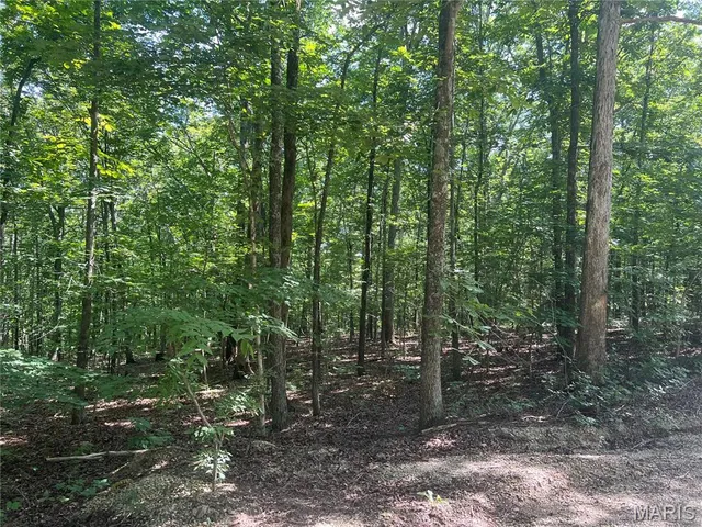 $89,500 | Tbd Forest Drive, Wappapello, MO 63966