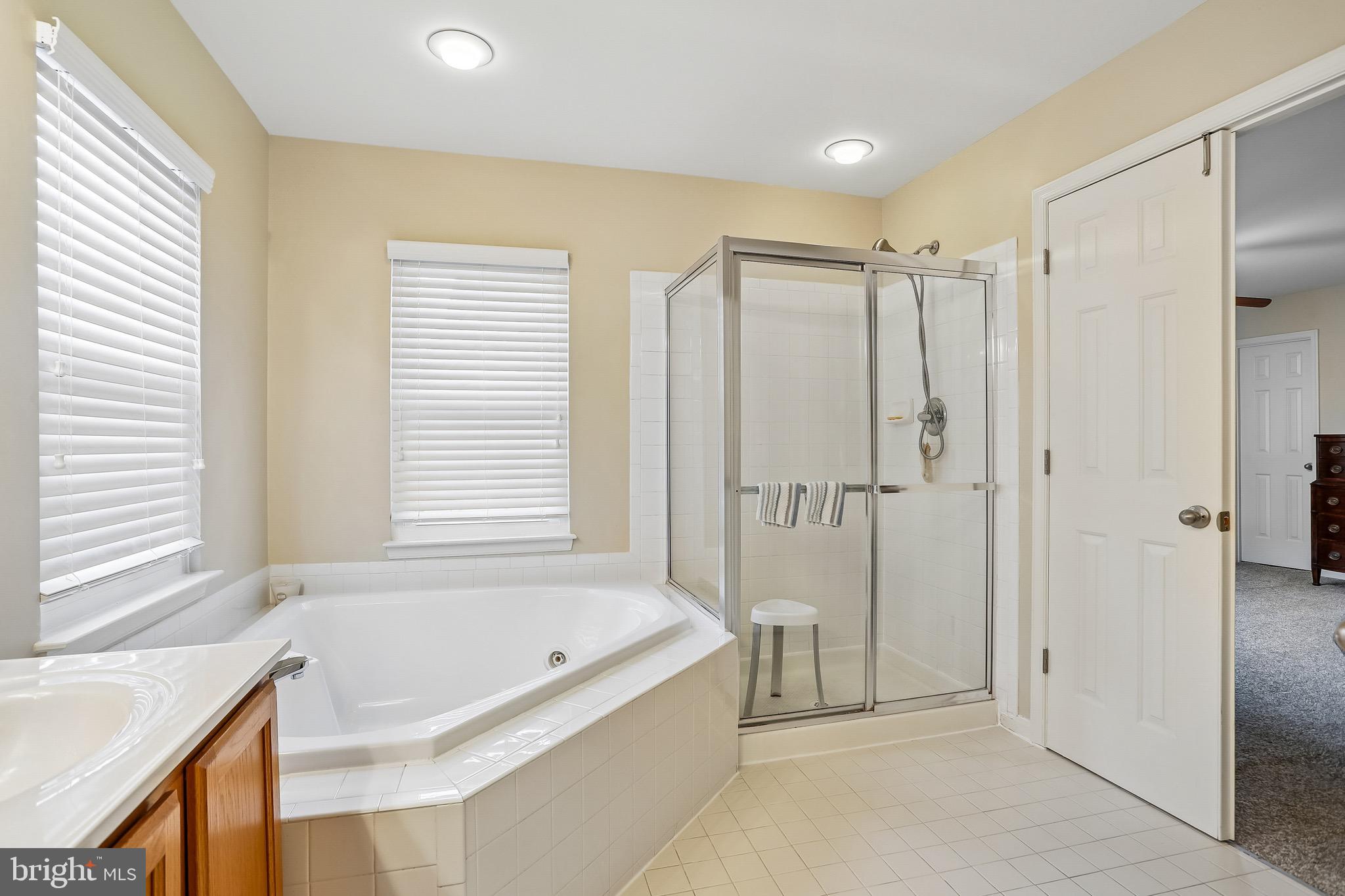 1520 Laurel Wood Way Frederick, MD 21701 - Photo 22 of 30 a spacious bathroom with a tub shower and windows