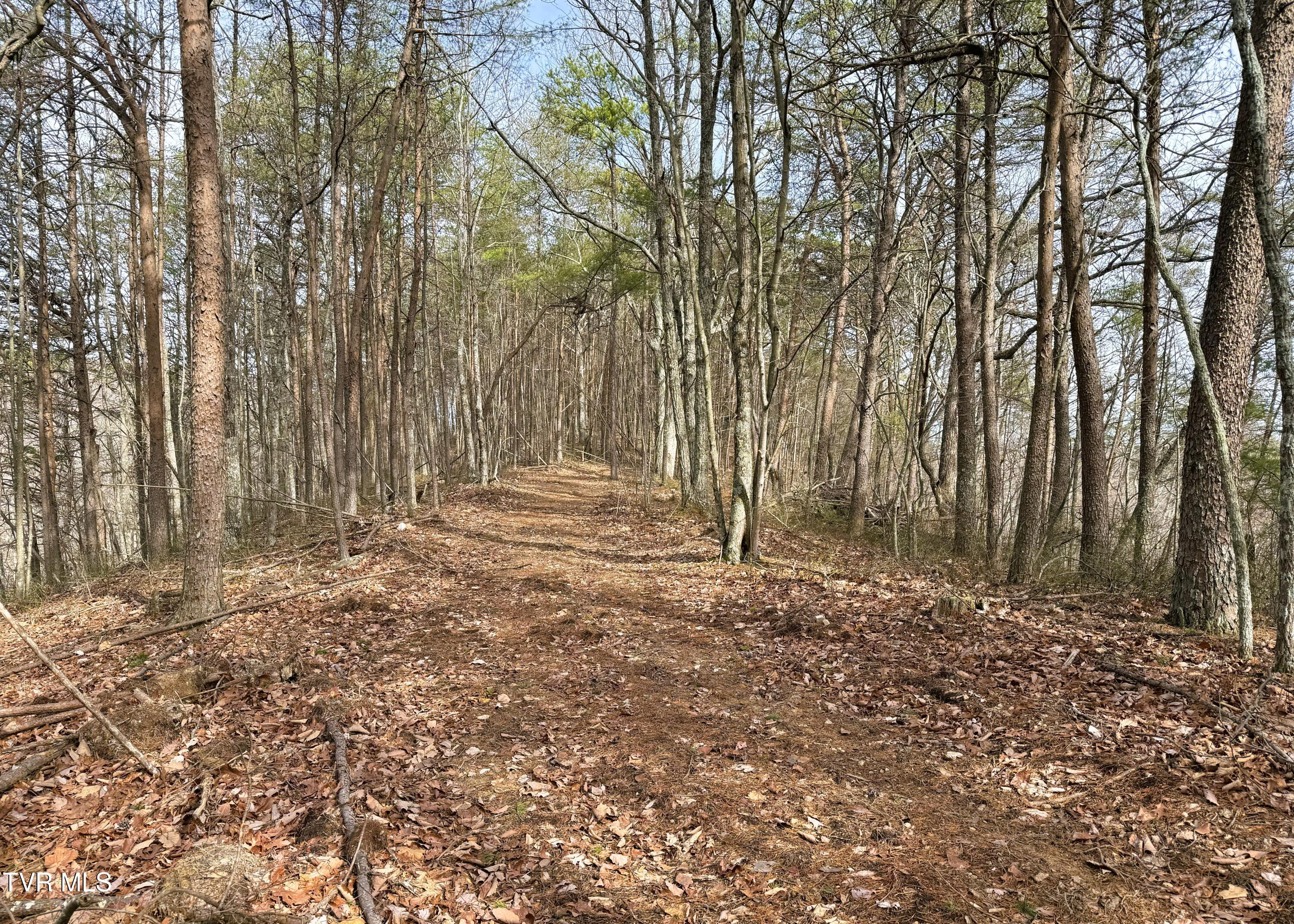 0 Speedwell Church Road, Unit 7 Bulls Gap, TN 37711 - Photo 11 of 28 11