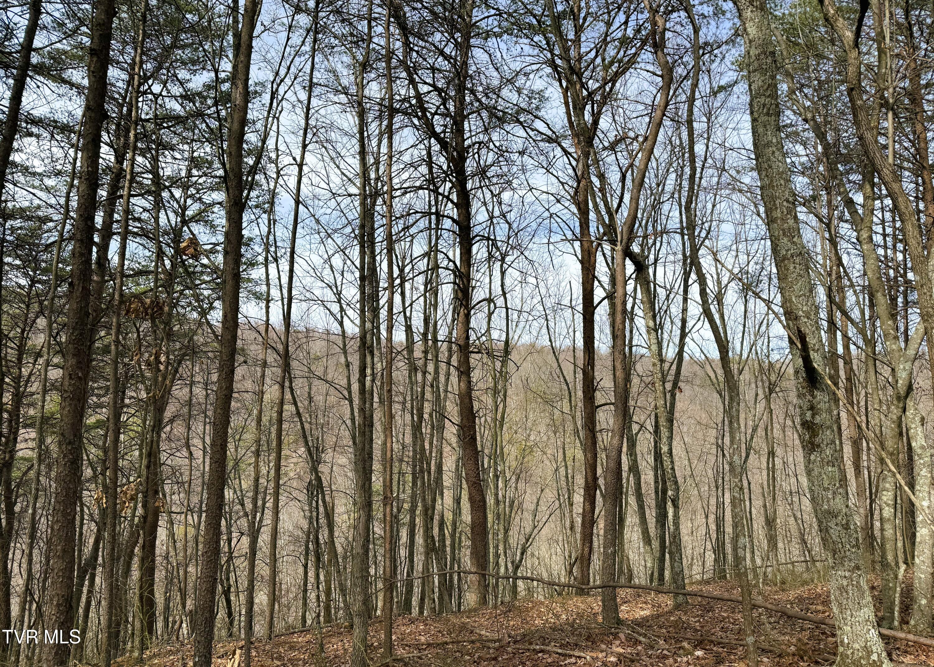 0 Speedwell Church Road, Unit 7 Bulls Gap, TN 37711 - Photo 12 of 28 12