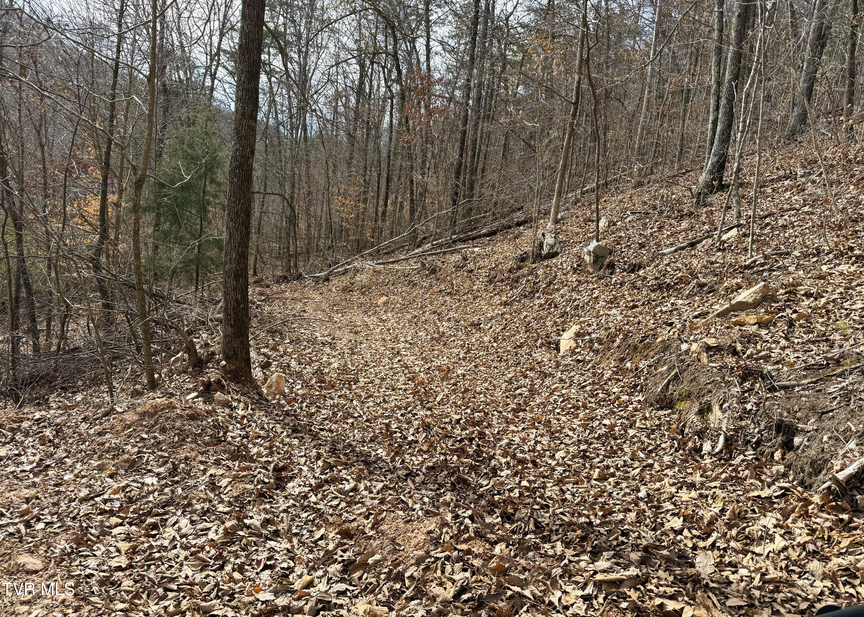 0 Speedwell Church Road, Unit 7 Bulls Gap, TN 37711 - Photo 13 of 28 13