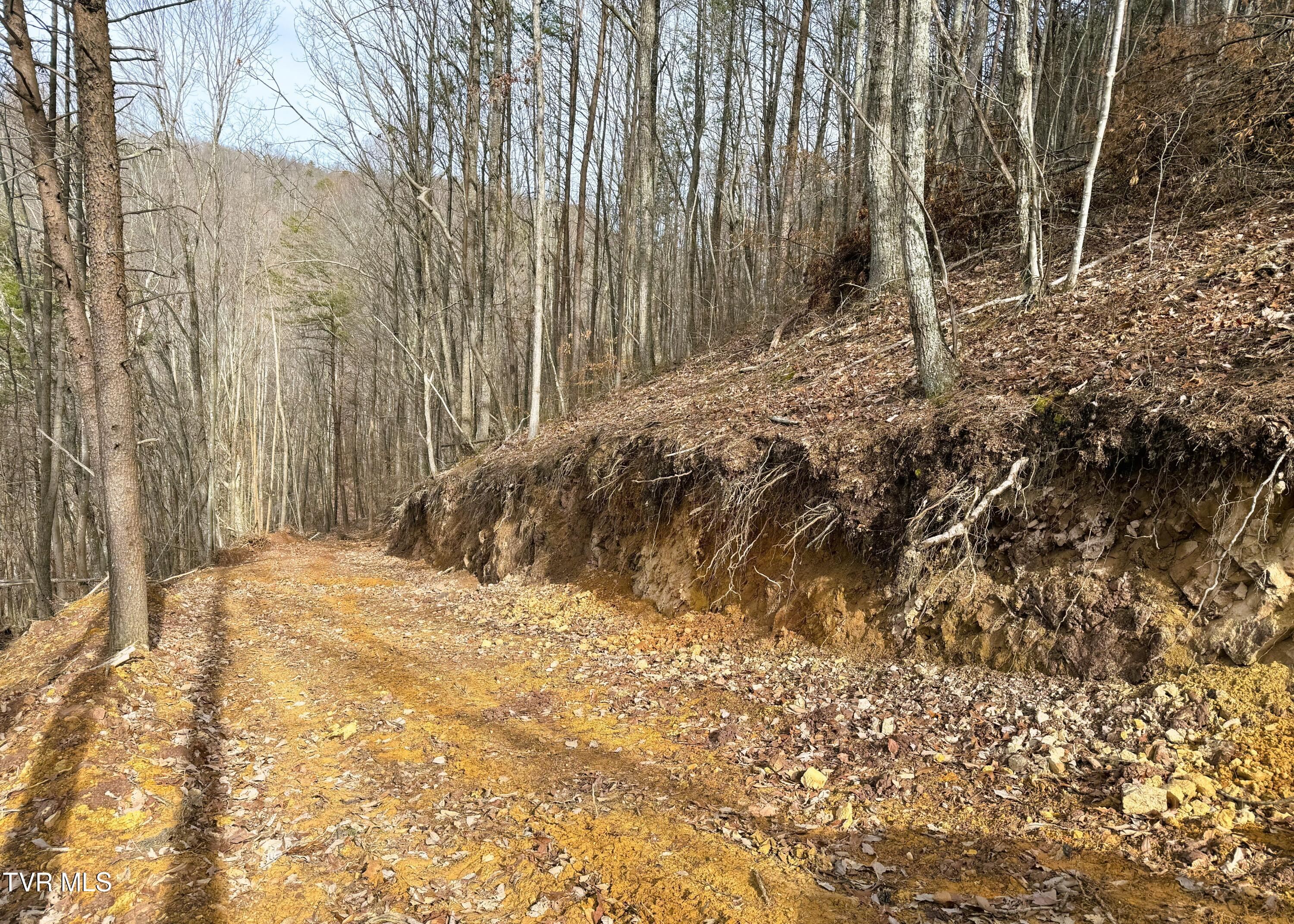 0 Speedwell Church Road, Unit 7 Bulls Gap, TN 37711 - Photo 14 of 28 14