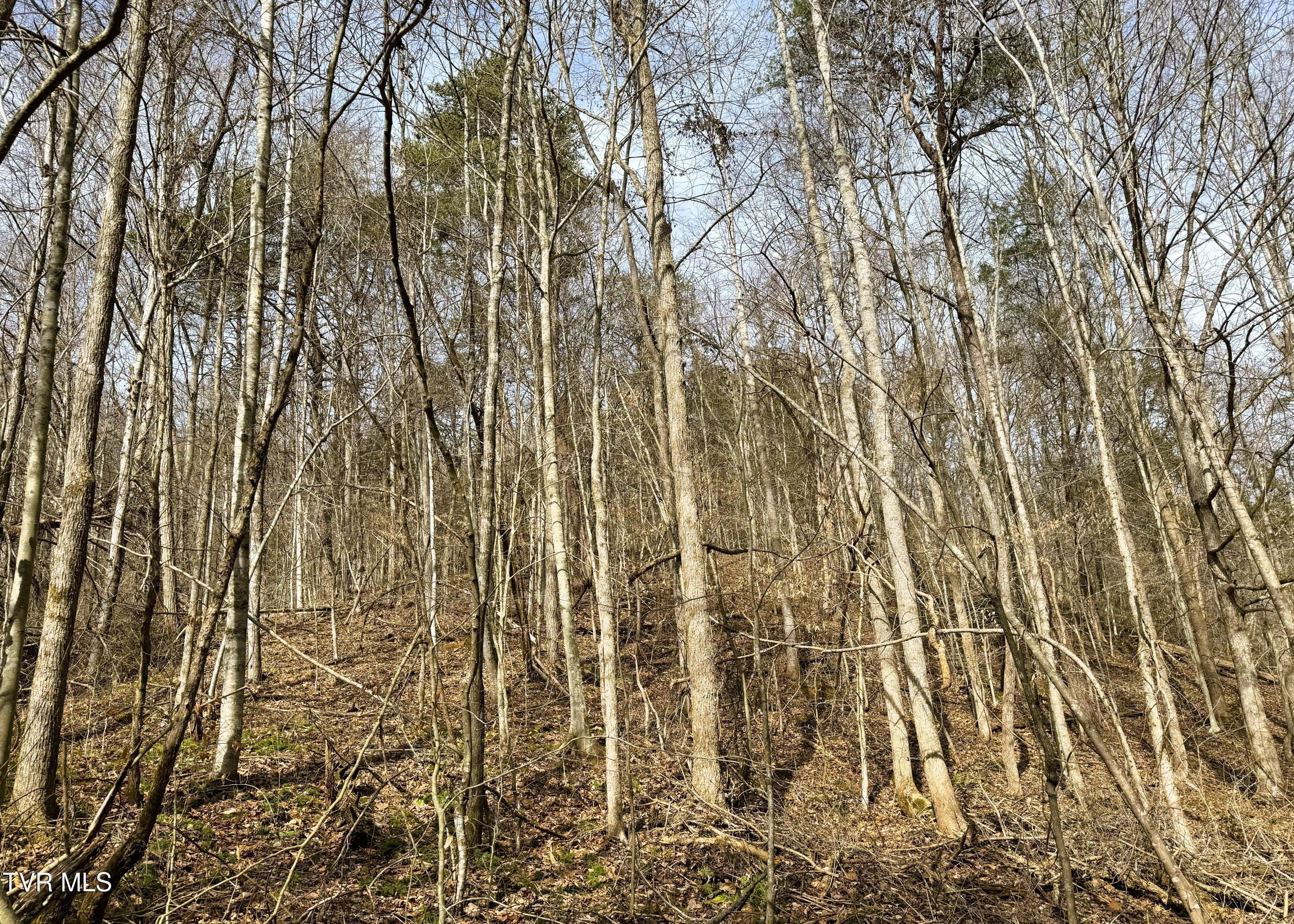 0 Speedwell Church Road, Unit 7 Bulls Gap, TN 37711 - Photo 15 of 28 15