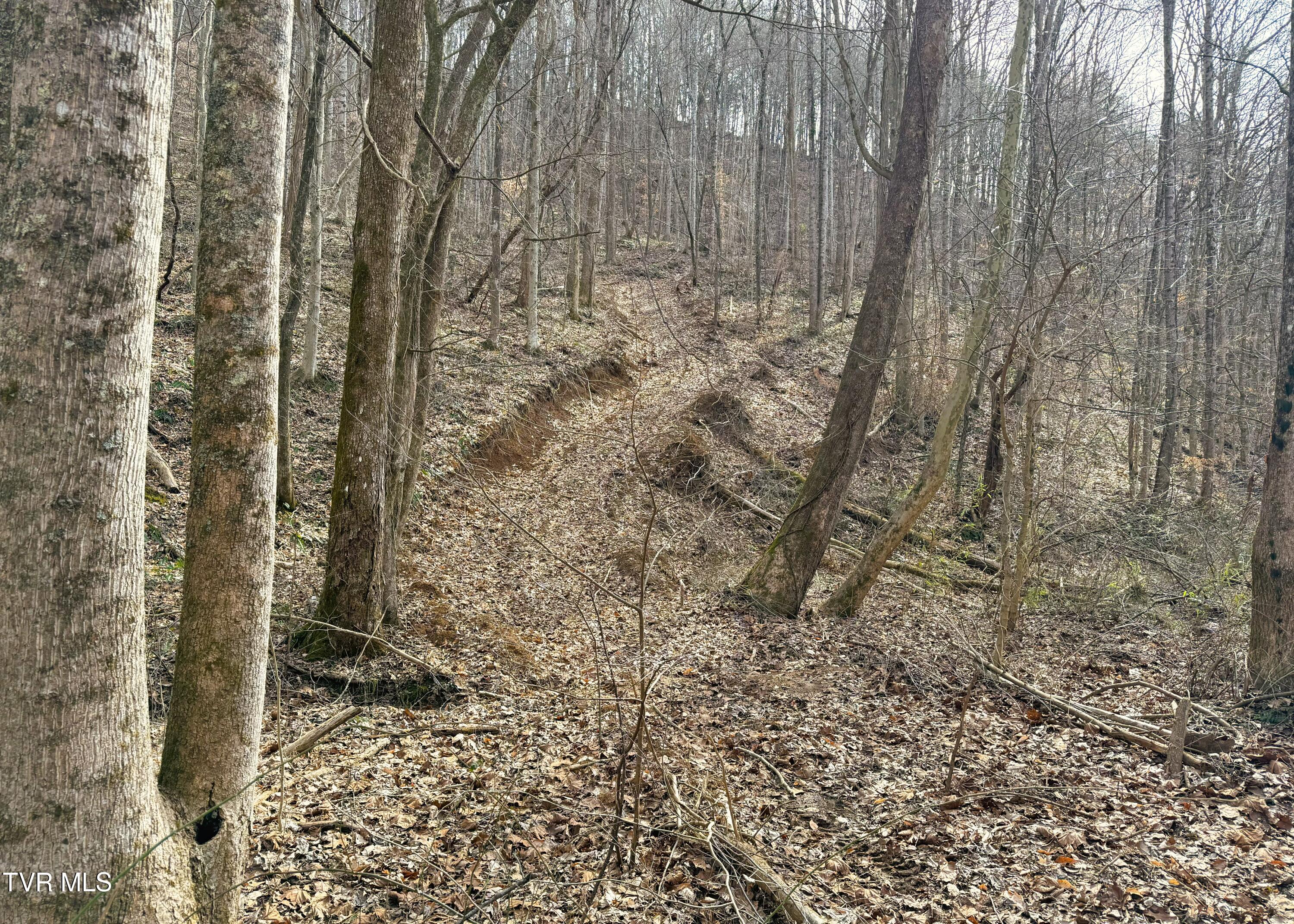 0 Speedwell Church Road, Unit 7 Bulls Gap, TN 37711 - Photo 17 of 28 17