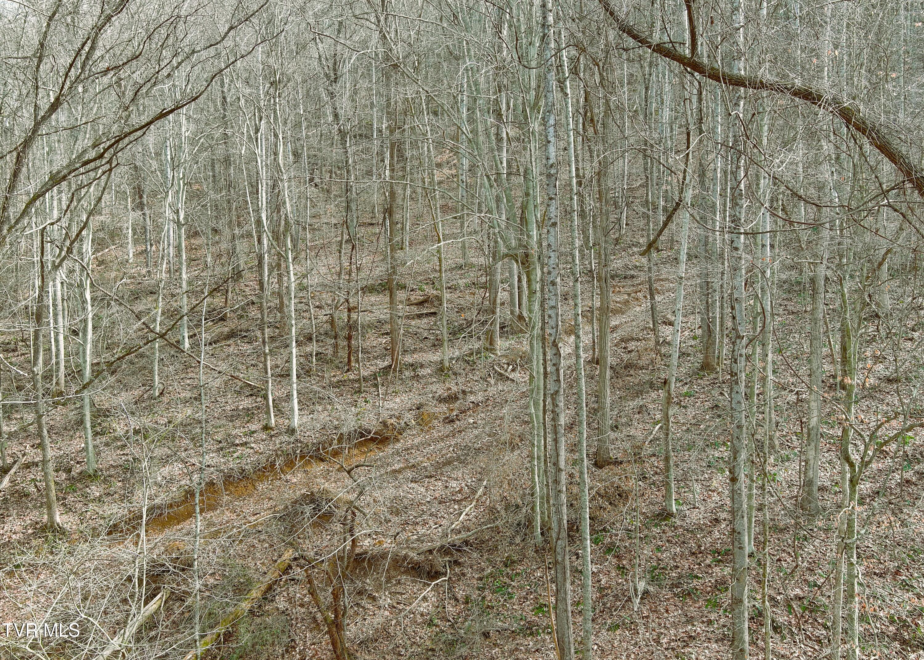 0 Speedwell Church Road, Unit 7 Bulls Gap, TN 37711 - Photo 18 of 28 18