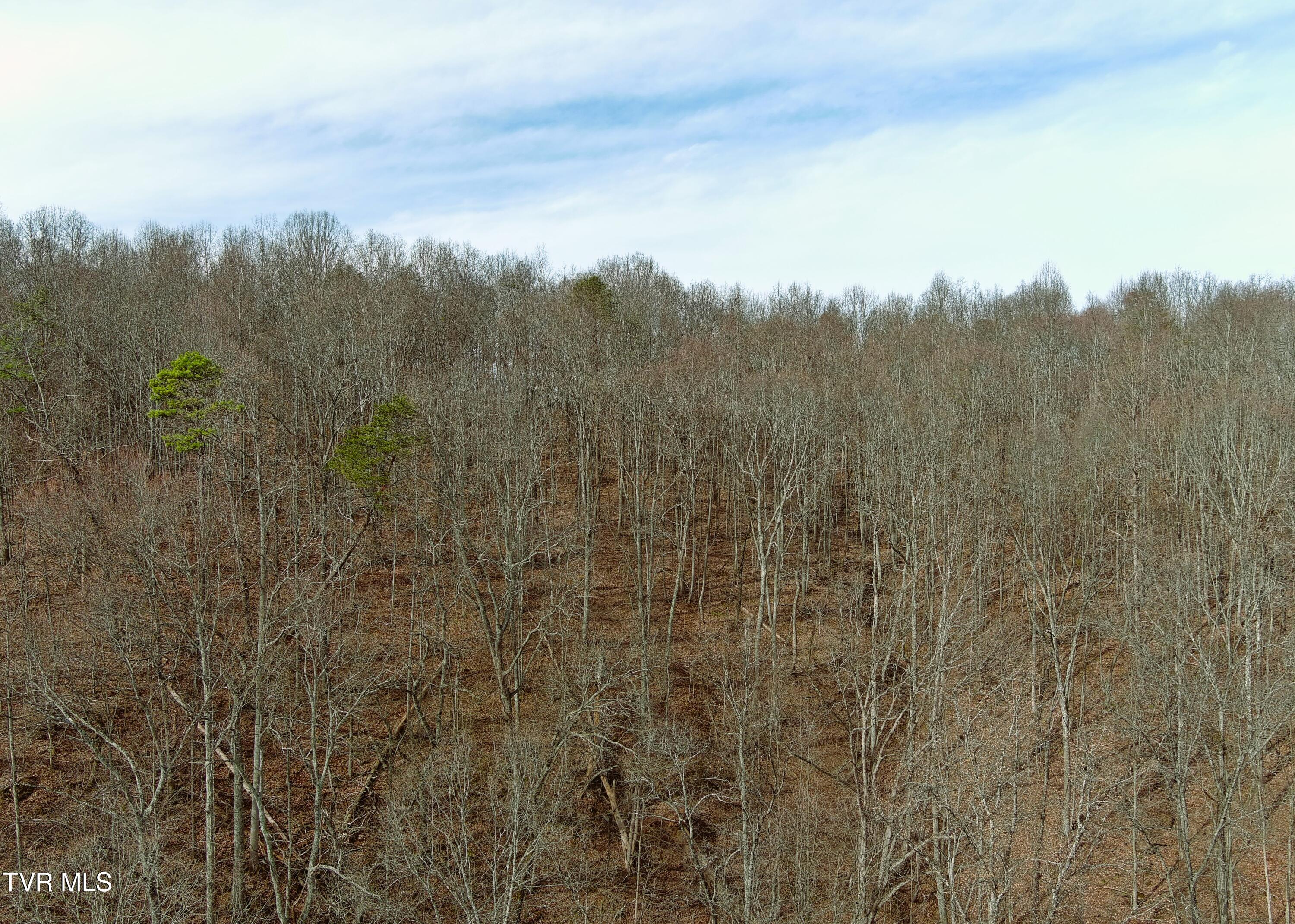 0 Speedwell Church Road, Unit 7 Bulls Gap, TN 37711 - Photo 20 of 28 20
