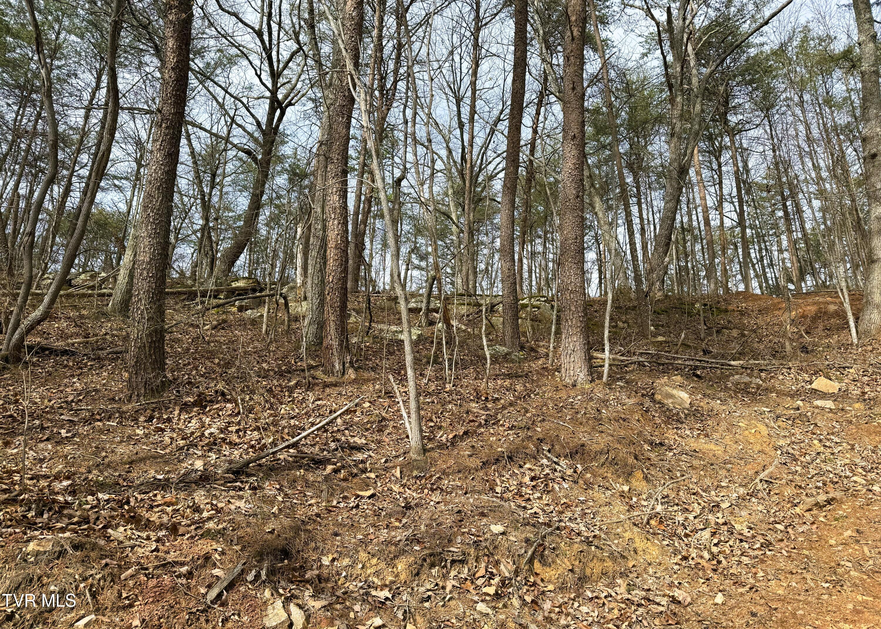 0 Speedwell Church Road, Unit 7 Bulls Gap, TN 37711 - Photo 22 of 28 22