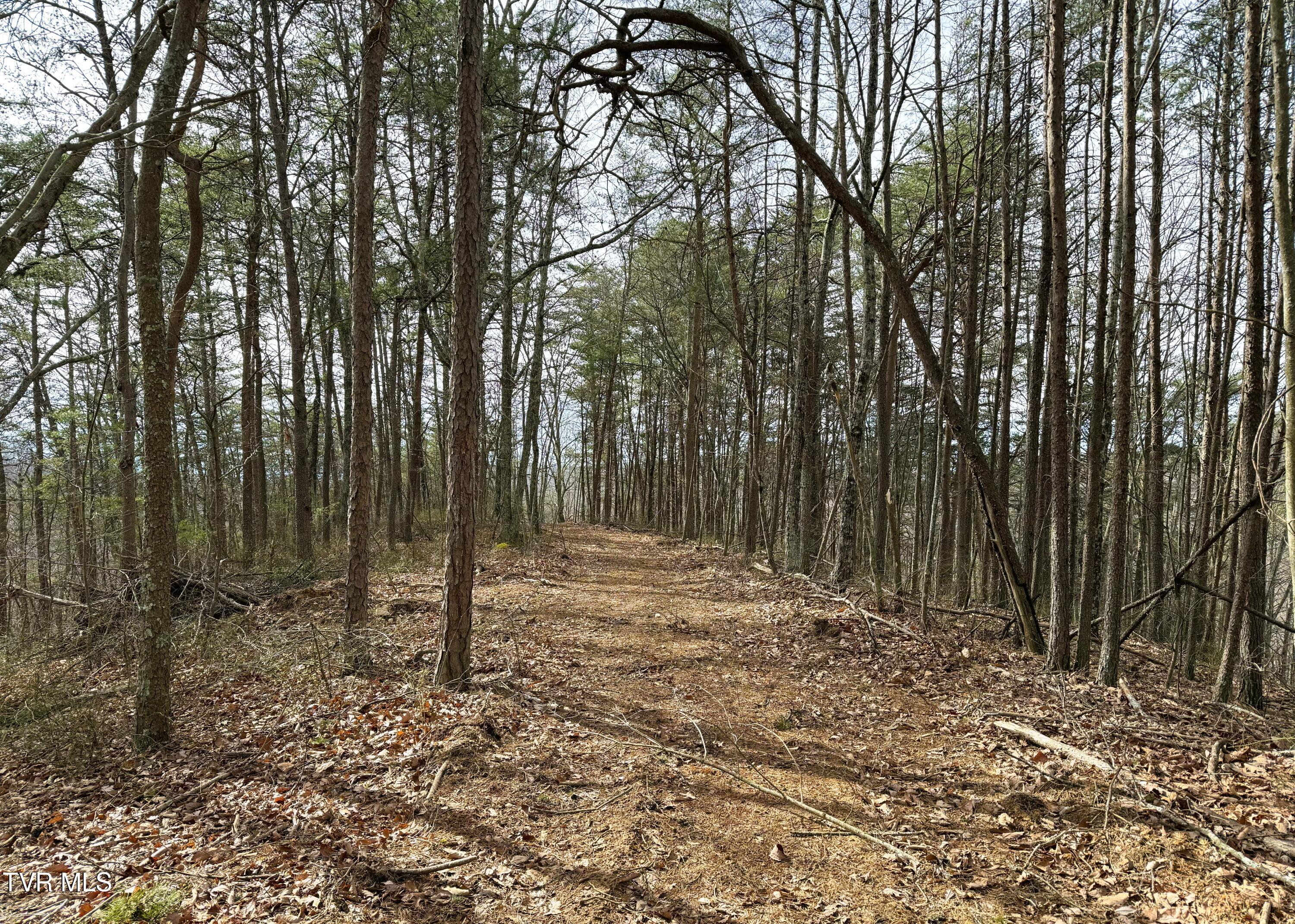 0 Speedwell Church Road, Unit 7 Bulls Gap, TN 37711 - Photo 23 of 28 23