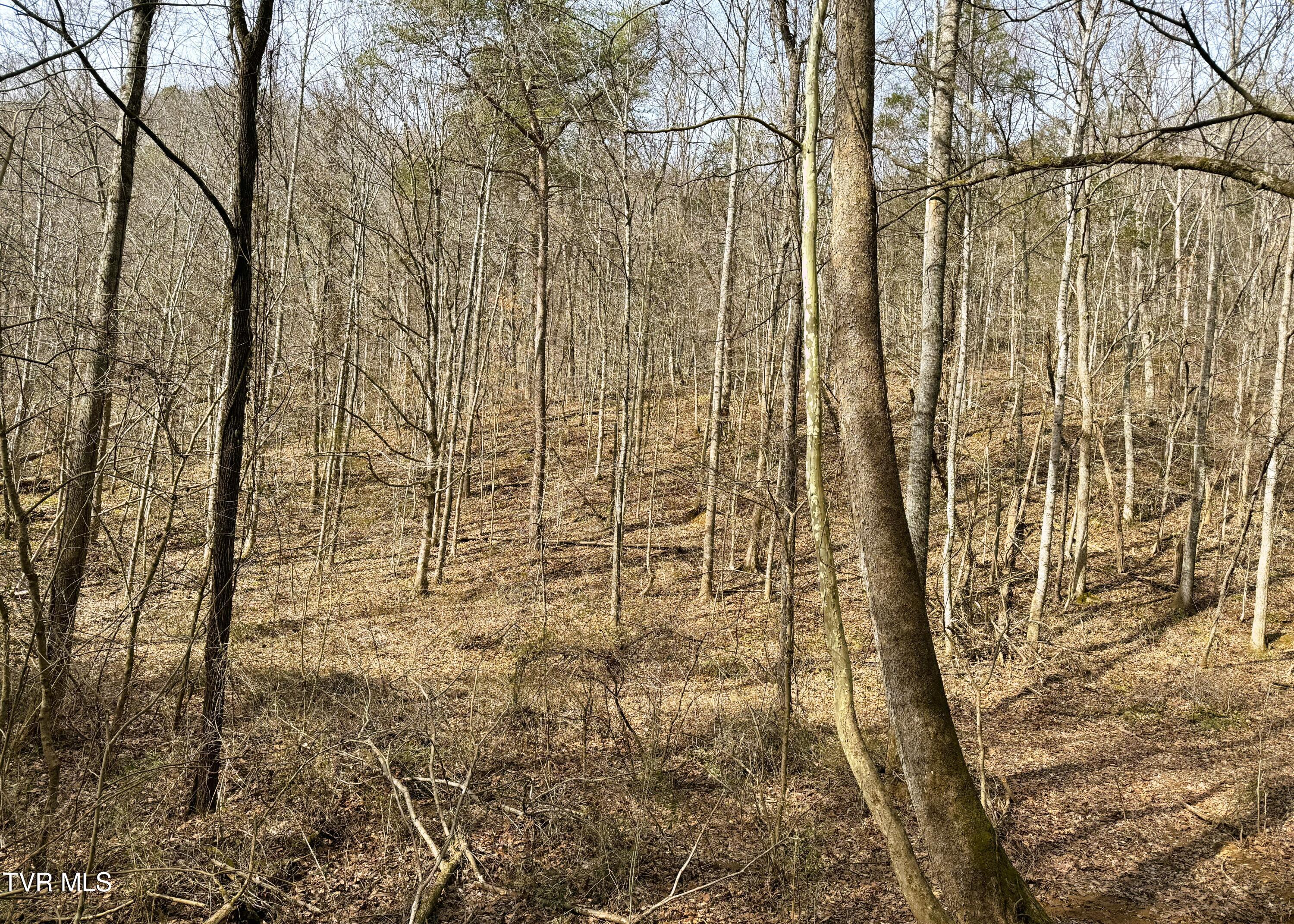 0 Speedwell Church Road, Unit 7 Bulls Gap, TN 37711 - Photo 24 of 28 24