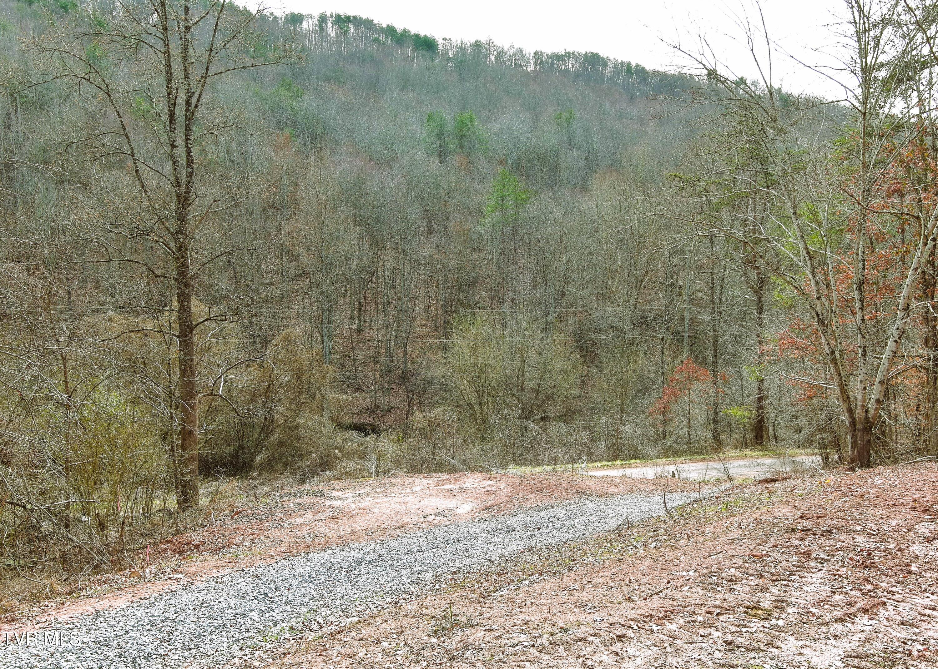 0 Speedwell Church Road, Unit 7 Bulls Gap, TN 37711 - Photo 4 of 28 4