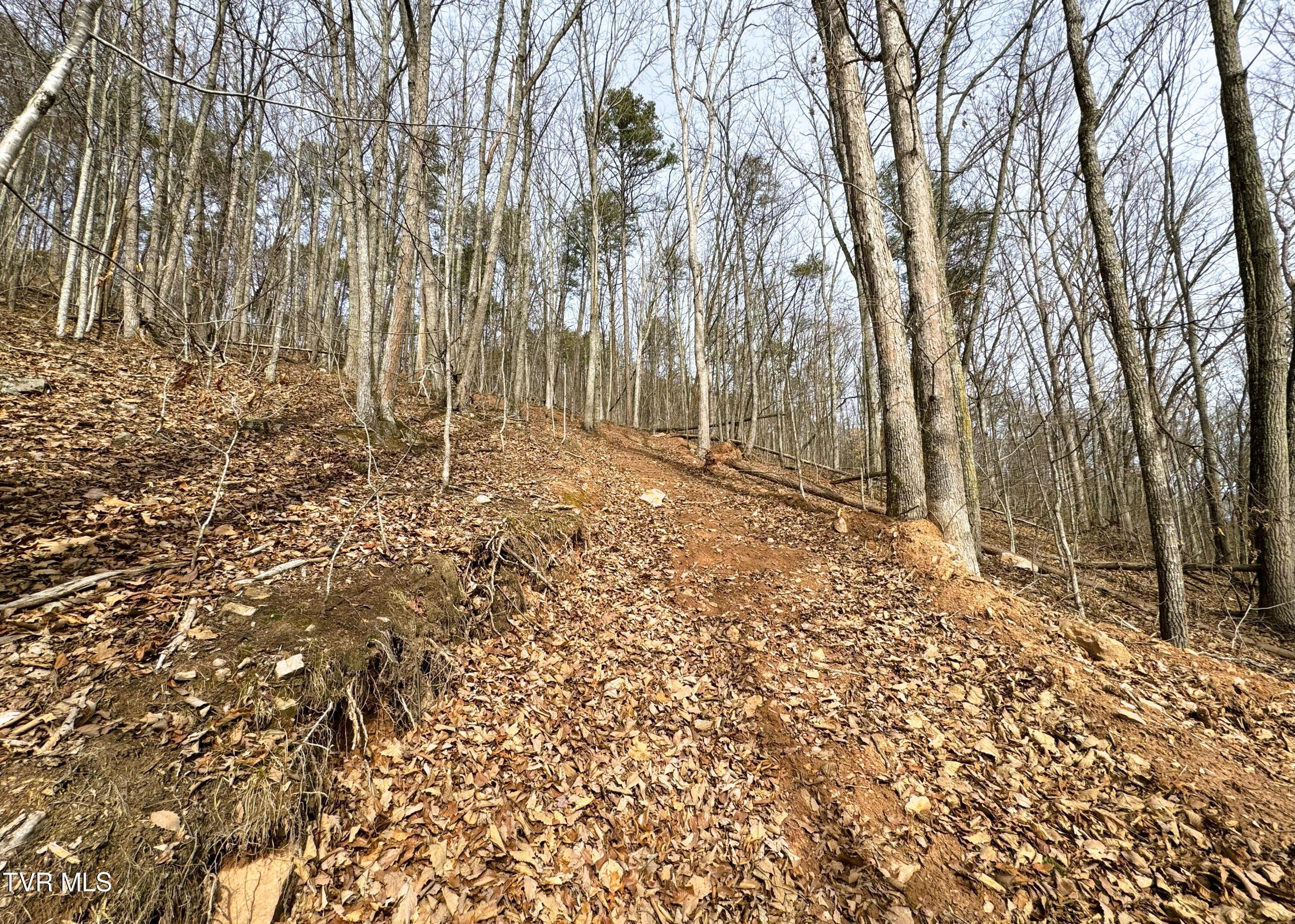 0 Speedwell Church Road, Unit 7 Bulls Gap, TN 37711 - Photo 6 of 28 6