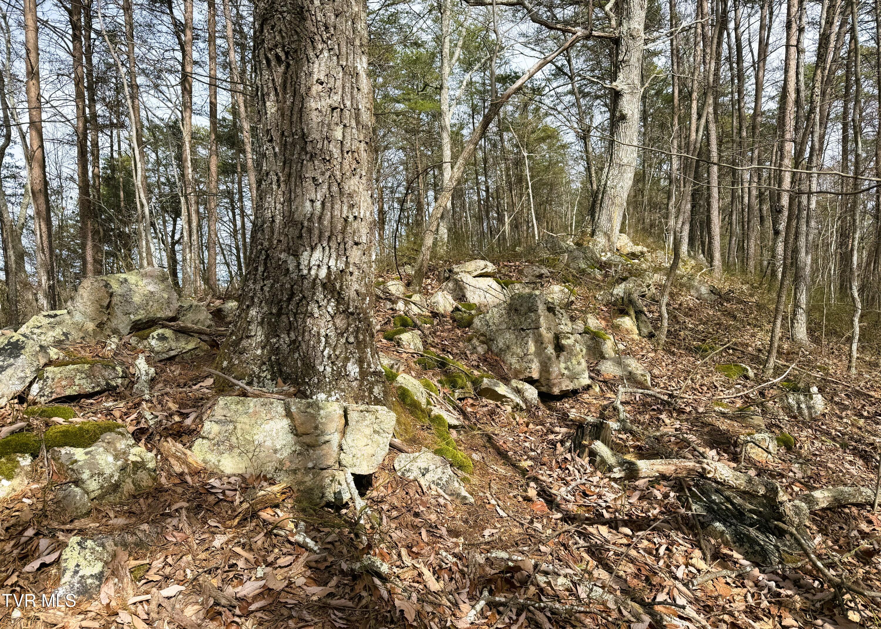 0 Speedwell Church Road, Unit 7 Bulls Gap, TN 37711 - Photo 7 of 28 7