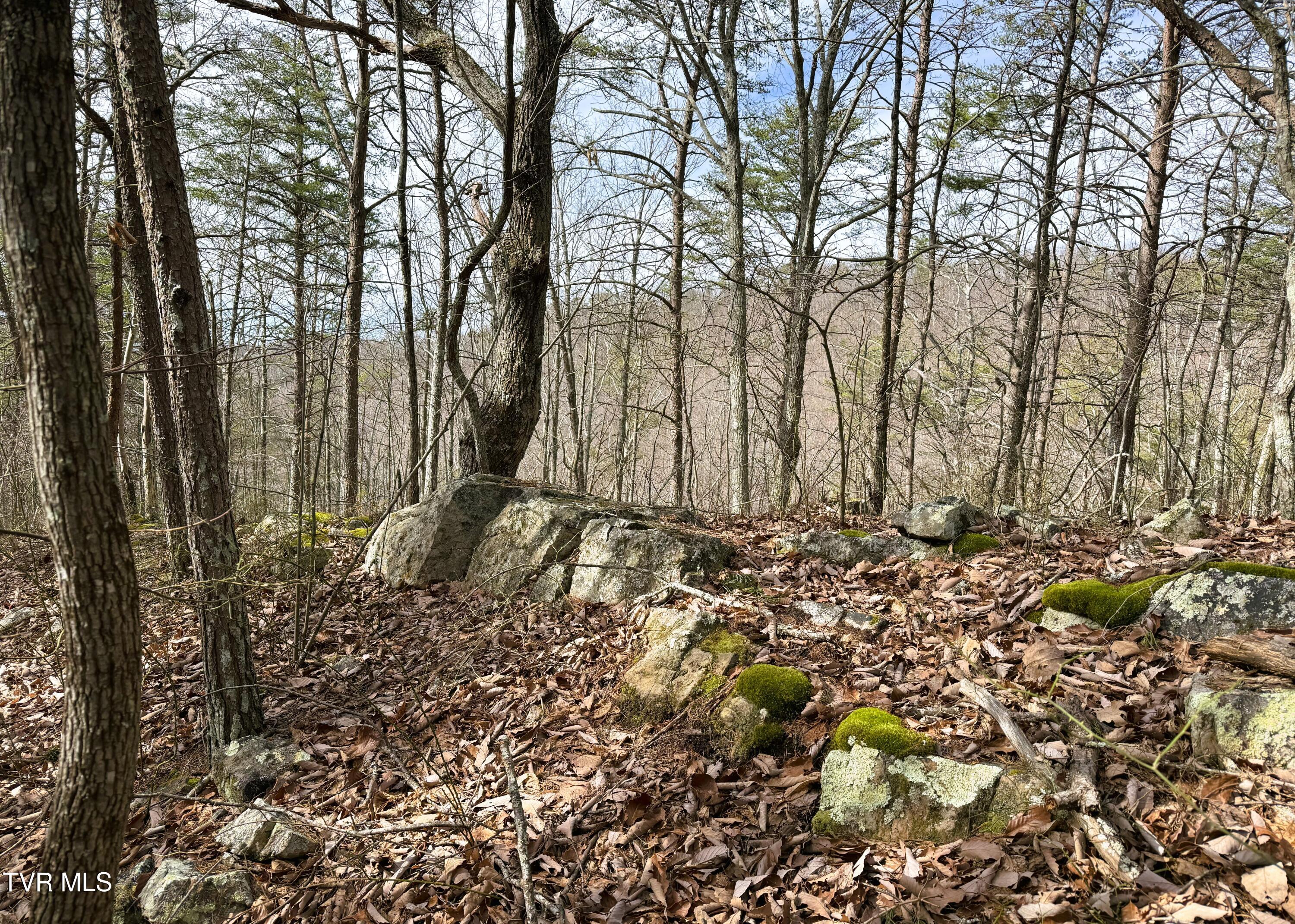 0 Speedwell Church Road, Unit 7 Bulls Gap, TN 37711 - Photo 8 of 28 8