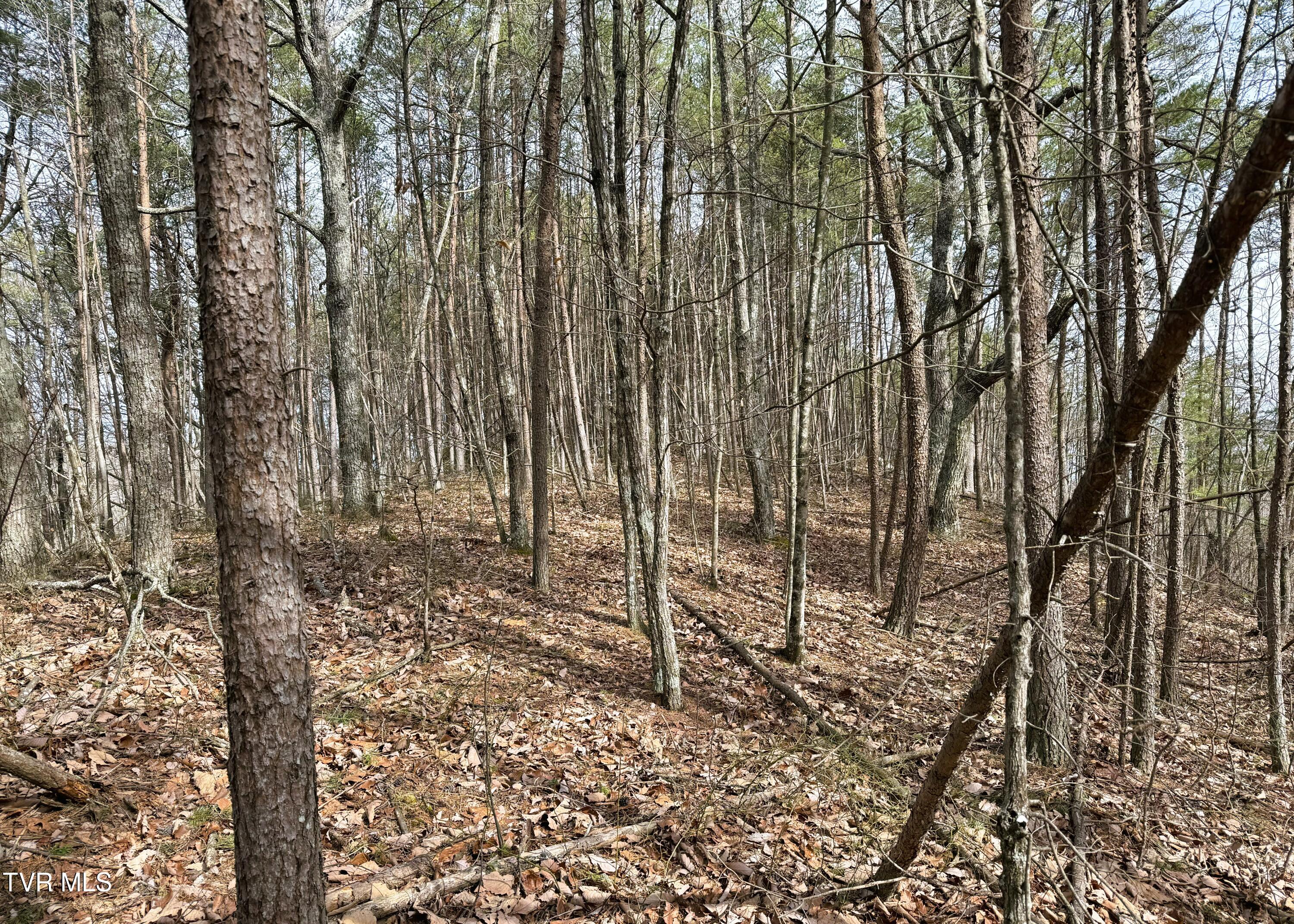 0 Speedwell Church Road, Unit 7 Bulls Gap, TN 37711 - Photo 9 of 28 9