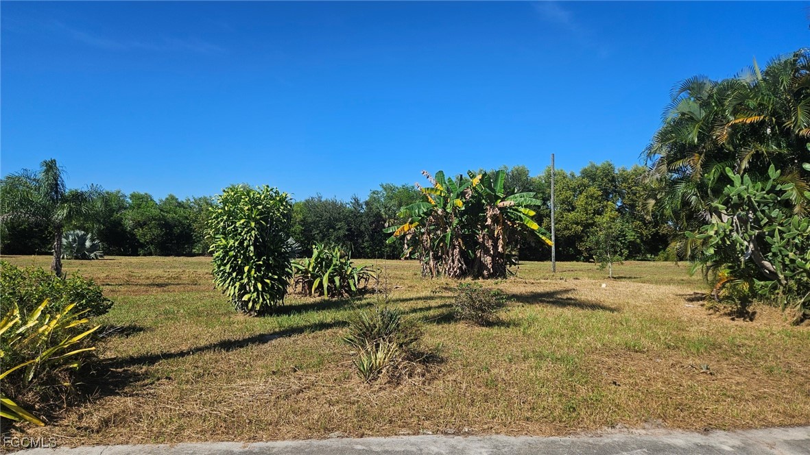 11530 Riggs Road Naples, FL 34114 - Photo 17 of 18 Gallery Image 17