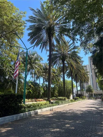 a view of a palm trees next to a house