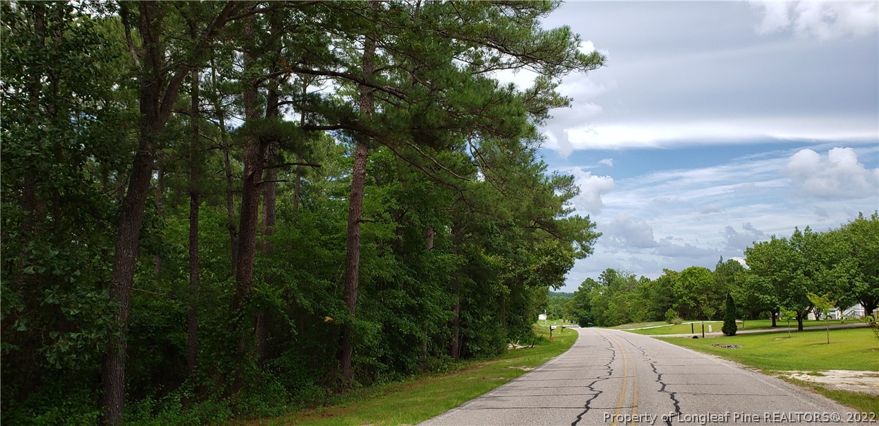 Tbd Tbd Eakes Road Sanford, NC 27332 - Photo 2 of 5 Gallery Image 2
