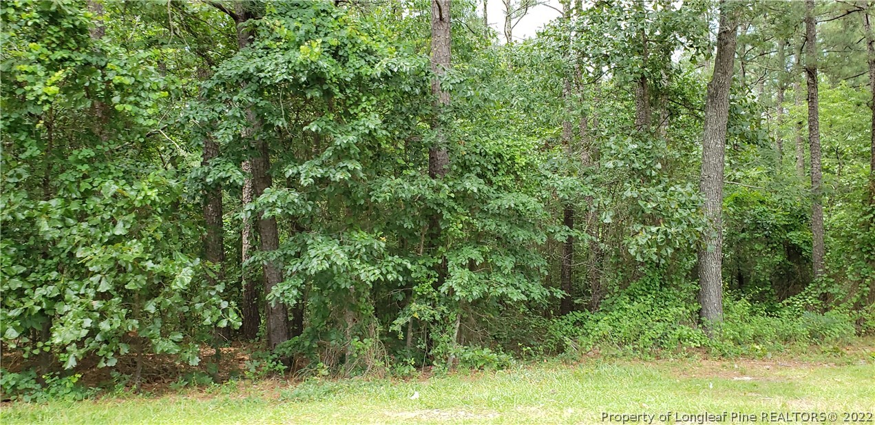 Tbd Tbd Eakes Road Sanford, NC 27332 - Photo 3 of 5 Gallery Image 3