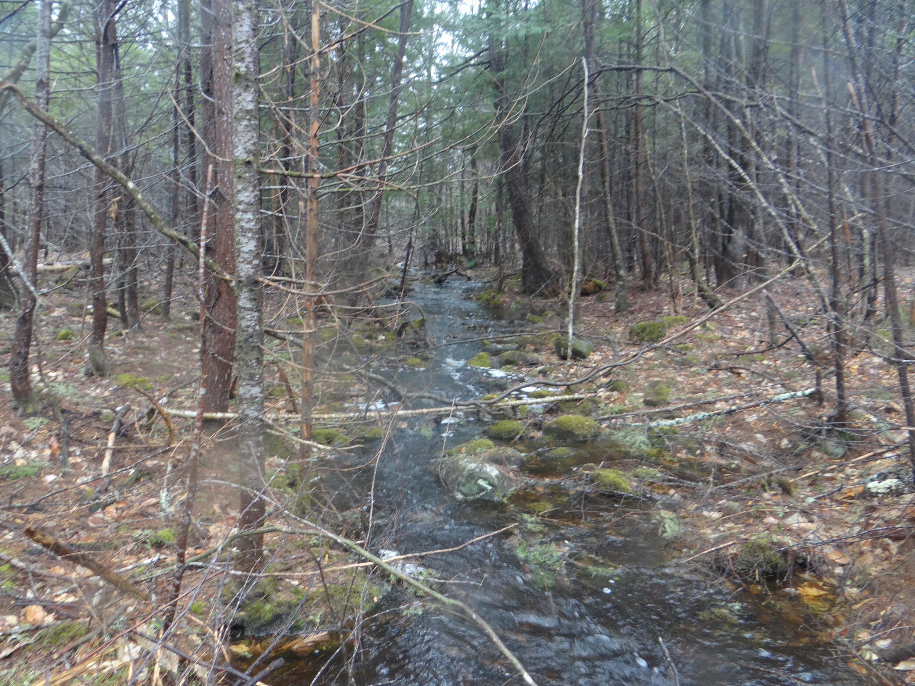 0 Moody Road Standish, ME 04084 - Photo 3 of 26 Stream