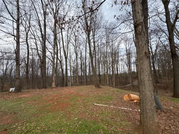 a backyard of a house with trees