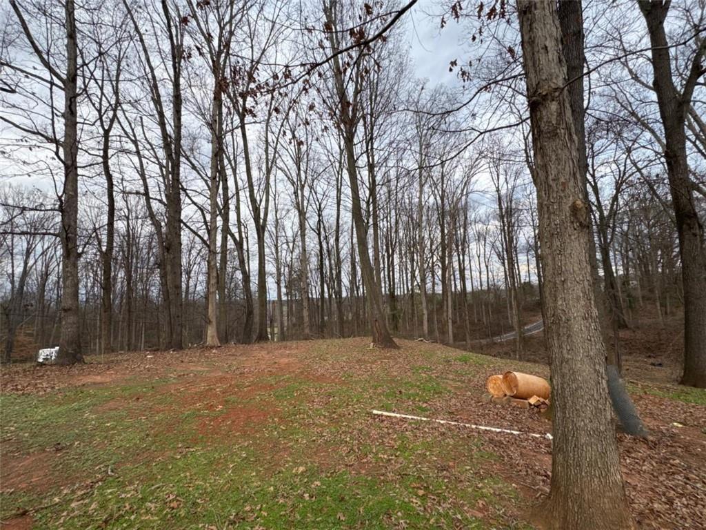 3911 Blackstock Road Talmo, GA 30575 - Photo 17 of 17 a backyard of a house with trees