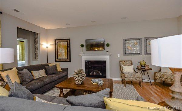 4282 Perth Road, Unit 315 Indian Land, SC 29707 - Photo 4 of 12 a living room with furniture and a fireplace