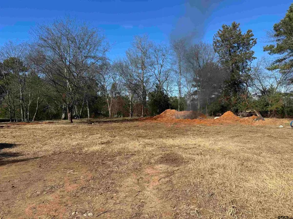 a view of large space with a big yard