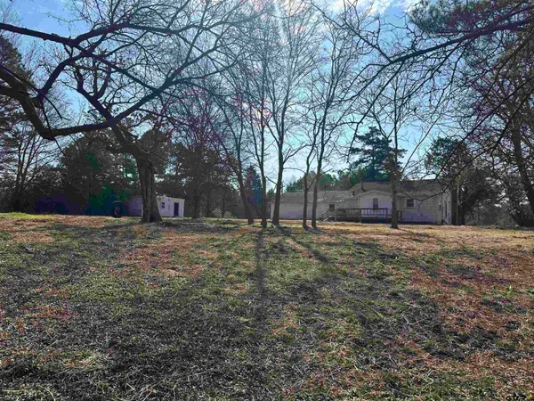 a view of large yard with large trees