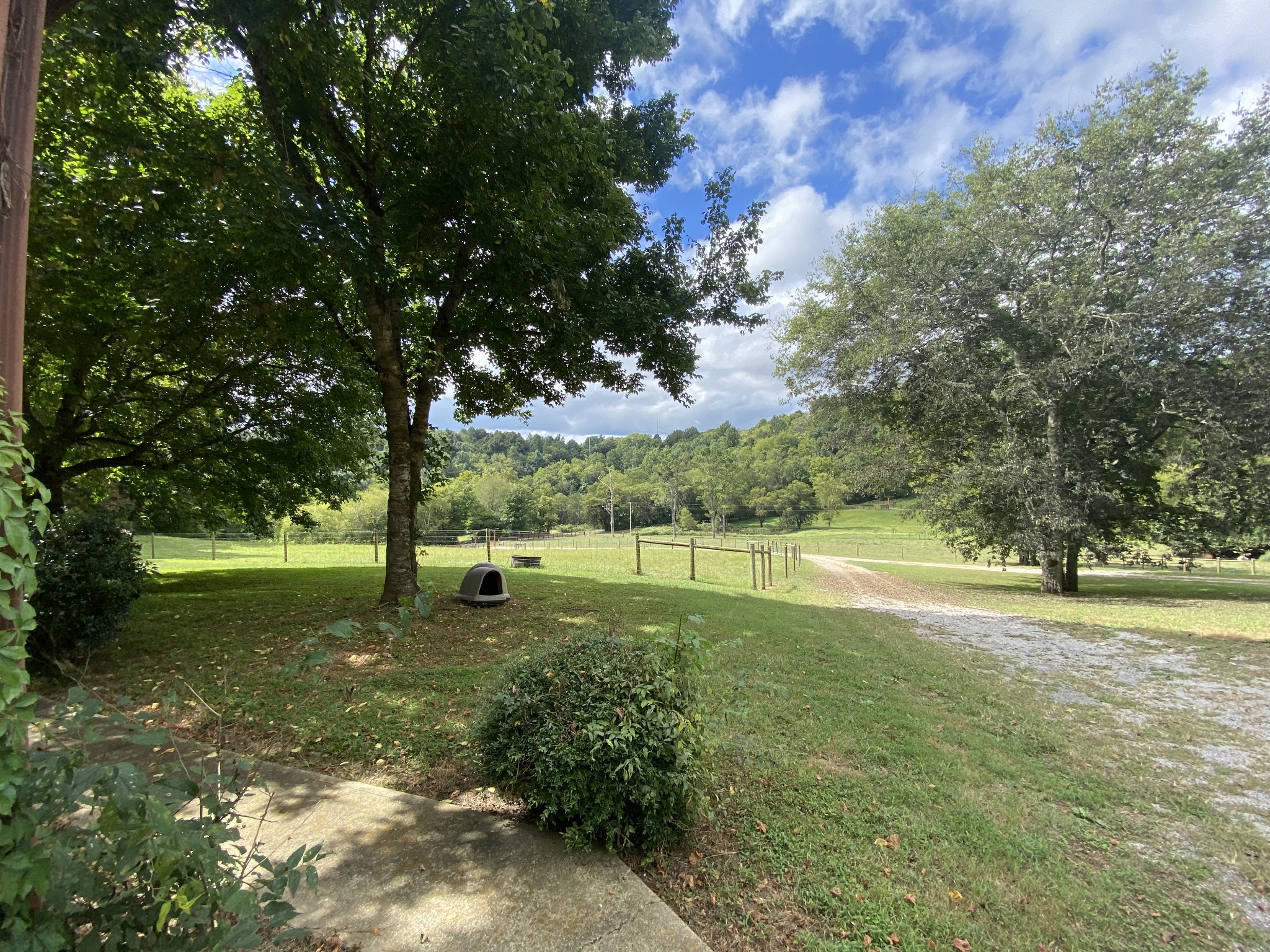 201 Young Hollow Road Pulaski, TN 38478 - Photo 13 of 24 a view of a field with trees in the background