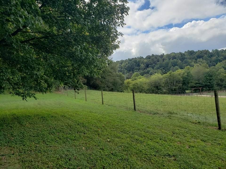 201 Young Hollow Road Pulaski, TN 38478 - Photo 14 of 24 a view of a big yard