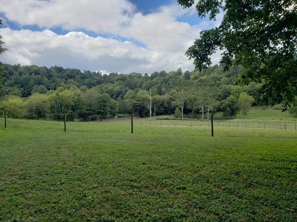 201 Young Hollow Road Pulaski, TN 38478 - Photo 18 of 24 a view of a park