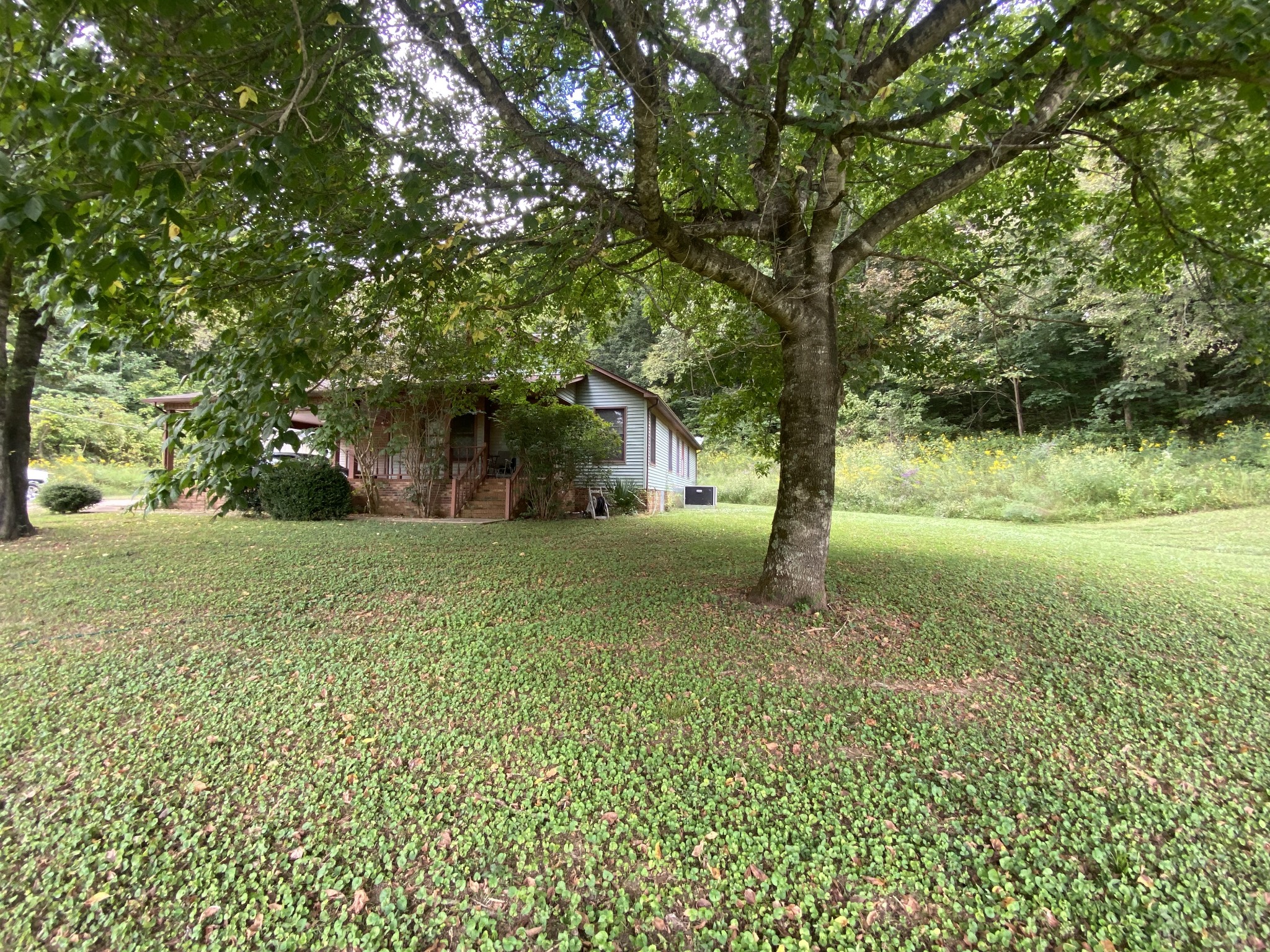201 Young Hollow Road Pulaski, TN 38478 - Photo 19 of 24 a view of a yard with a tree