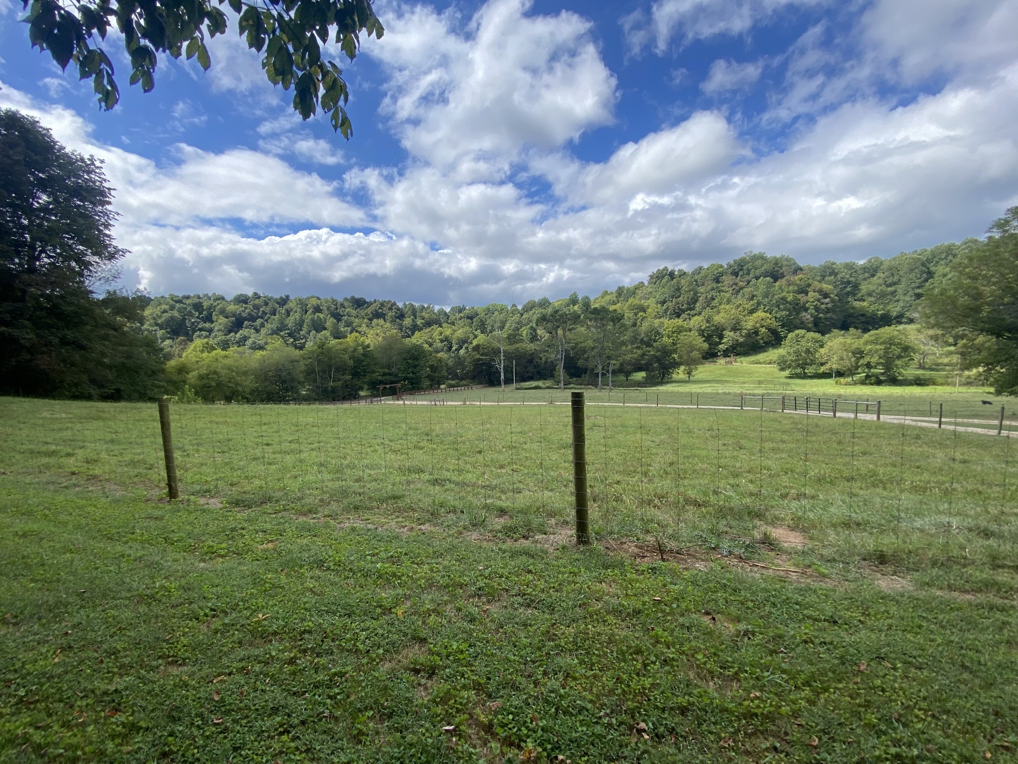 201 Young Hollow Road Pulaski, TN 38478 - Photo 20 of 24 a view of a park