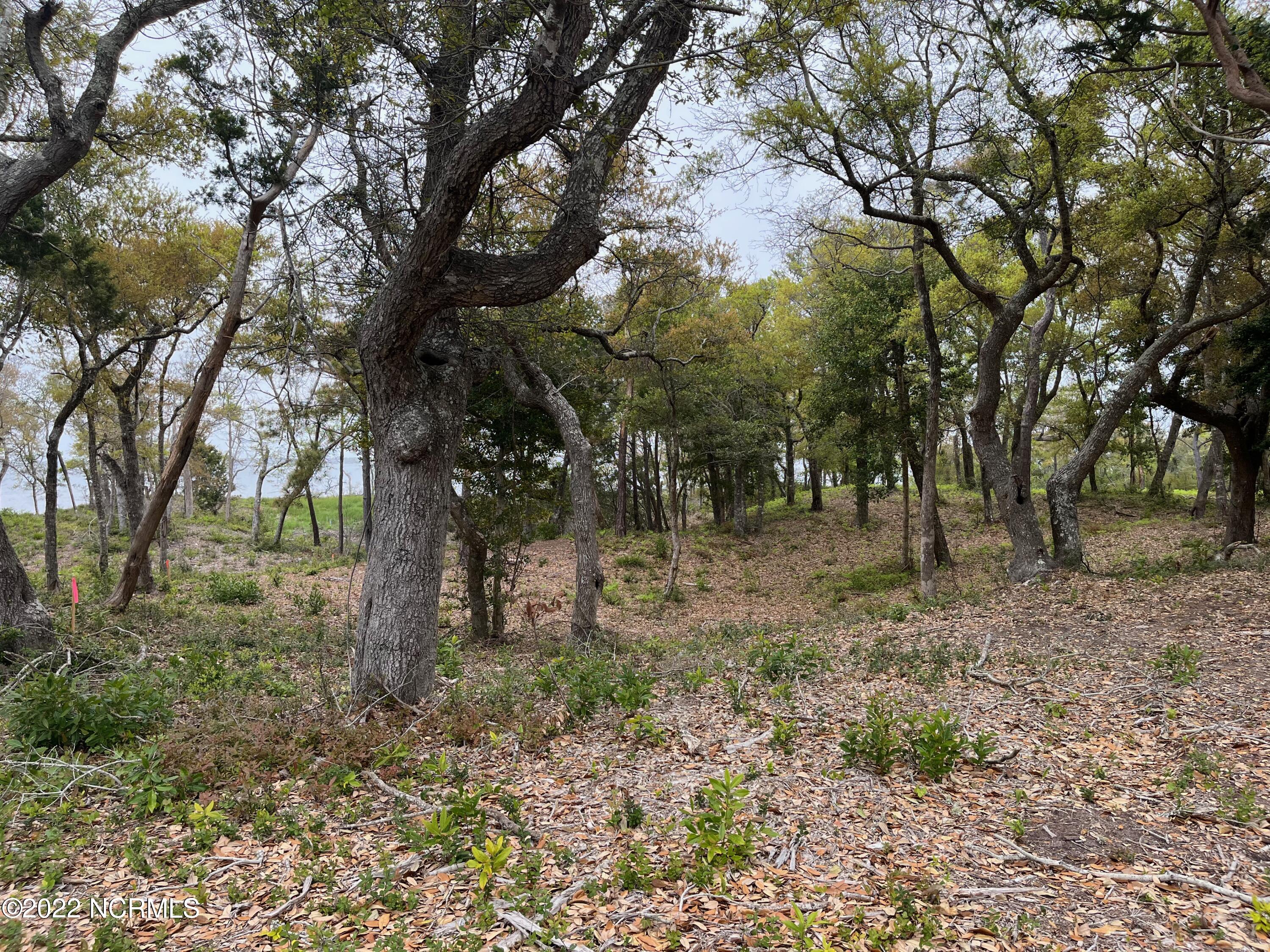 1798 Salter Path Road Atlantic Beach, NC 28512 - Photo 2 of 2 roadside 2