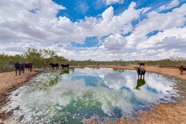 a view of a lake with a yard