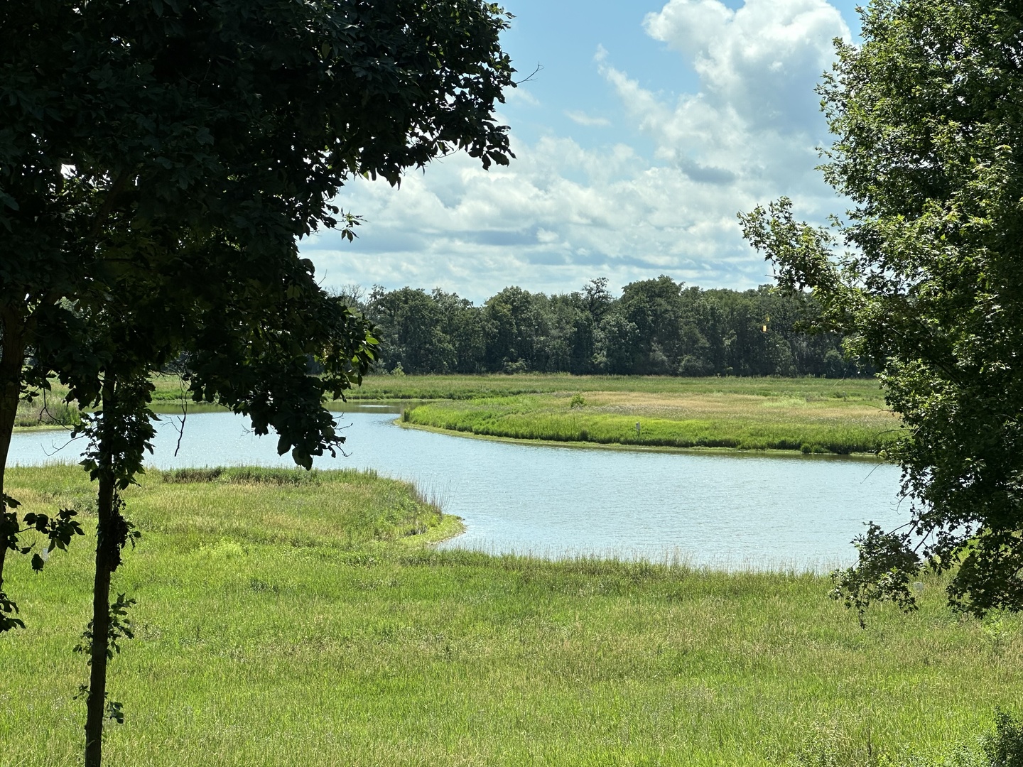 3317 South Country Club Road Woodstock, IL 60098 - Photo 33 of 43 a view of a lake with a yard
